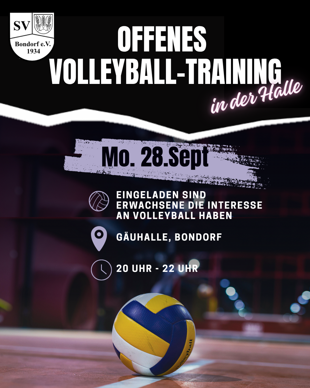 Flyer zur Einladung zum offenen Volleyballtraining Flyer zur Einladung zum offenen Volleyballtraining